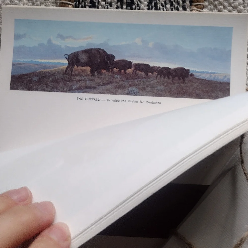 3 /$25 Rustic White Stationery Set with Wild Animal Designs